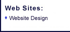 Web Sites: Professional Website Designers